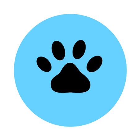 Pets